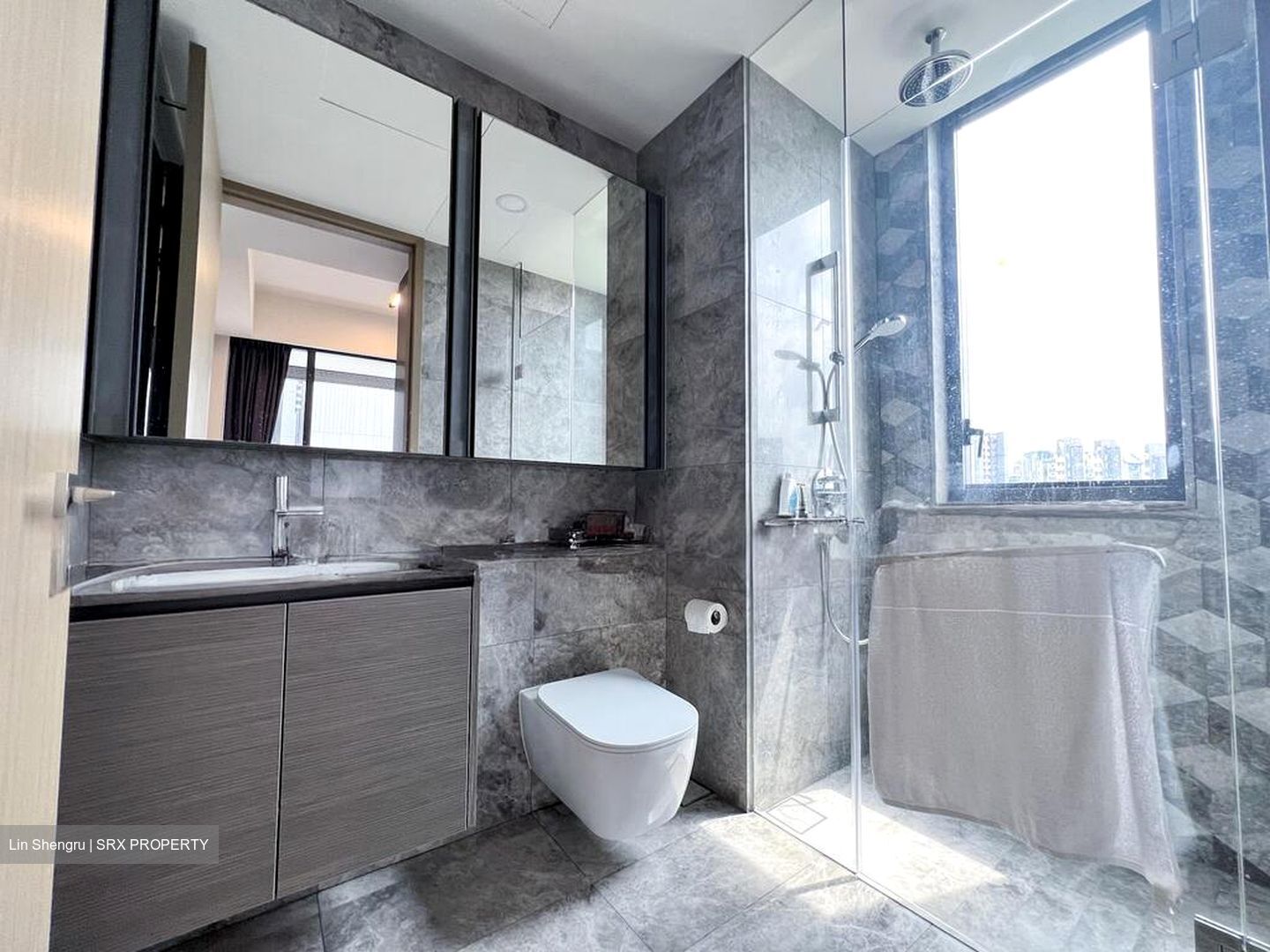 Leedon Green (D10), Condominium #498732151